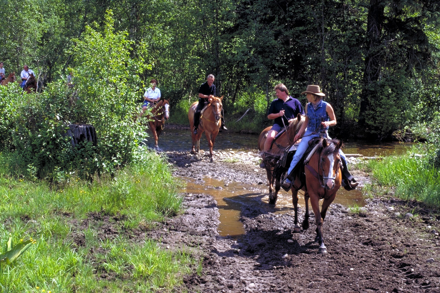 Wells Gray Guest Ranch 호텔 클리어워터비치 외부 사진